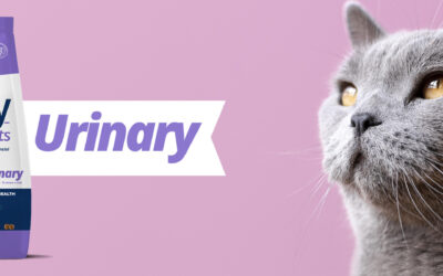 Agility Cats Urinary: el cuidado que tu gato necesita